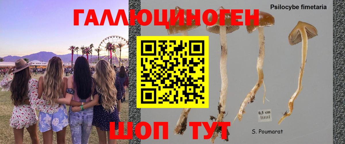 Псилоцибиновые грибы мухоморы Миасс