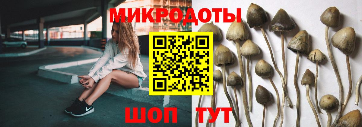даркнет сайт  Псилоцибиновые грибы MAGIC MUSHROOMS  Вход с VPN  Миасс 