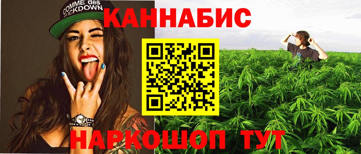Каннабис планчик Миасс